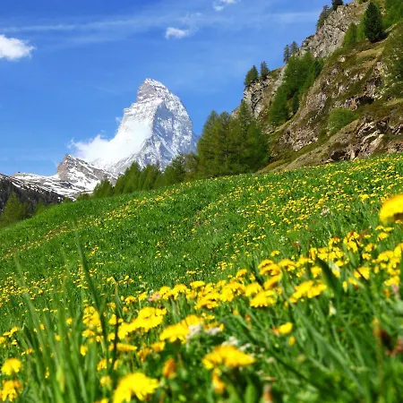 Apartment Apartment La Prairie By Interhome Zermatt